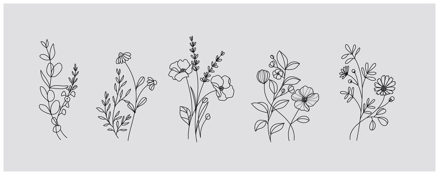 Naklejki minimal botanical graphic sketch drawing, trendy tiny tattoo design, floral elements vector illustration