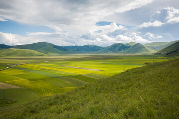 Panoramic view of cultivation of lentils in Castelluccio di Norcia plain Sibillini Mountains National Park in Umbria Region Italy