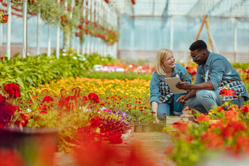 Gardeners working in a greenhouse with the help of technology