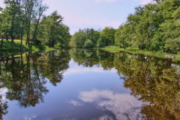 
Trees Branches Shadow in Water Images
