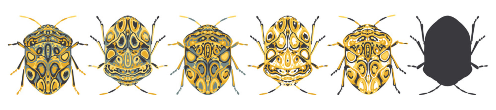 Set of stylised, decorative beetle insect vector illustrations, isolated on a white background.
