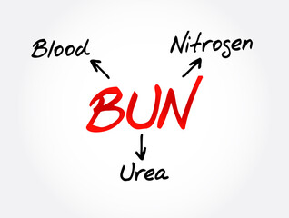 BUN - Blood Urea Nitrogen acronym, medical concept background