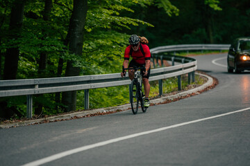 Naklejka premium Man and dog in backpack on bike tour in forest