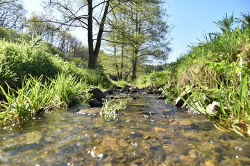 Bachlauf im Hunsrück