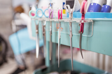 Different veterinary tools in modern clinic
