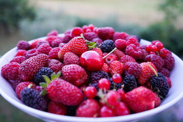 plate filled with strawberries, mulberries, raspberries, cherries and red currants