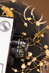 Old vintage analog camera on a black background with beige, yellow dried flowers from the top