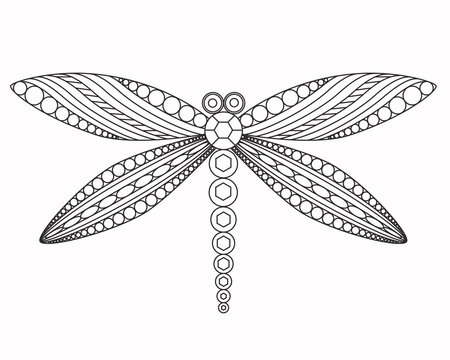 Dragonfly, vector graphic illustration. Beautiful graceful insect with patterned wings. Black engraved dragonfly on white background. Simple lines sketch