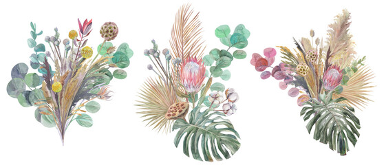 set of boho style bouquet of dried flowers with protea flower monstera leaf painted in watercolor isolated on white background © Марина Воюш