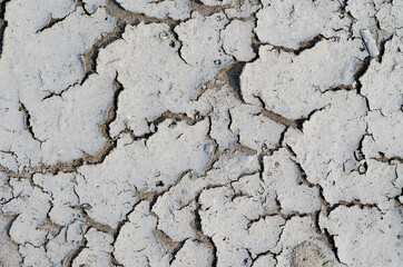 Dry Mud Texture. Gray cracked soil after a drought.