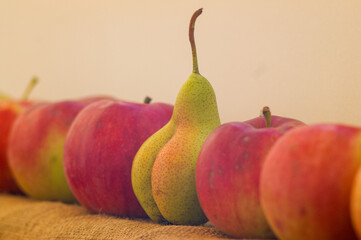 line apples in a row and silhouette of outstanding different pear