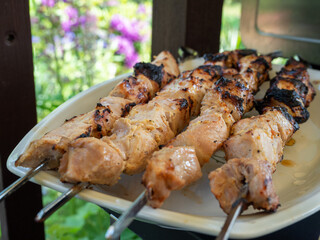 A Delicious Barbecue On The Grill. Picnic