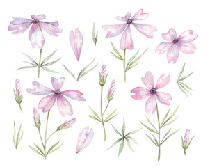 Set of watercolor lilac flowers, buds, herbs