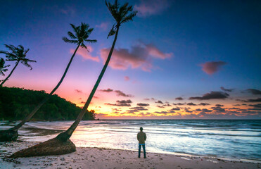 Dawn on a deserted beach with beautiful leaning coconut trees facing the sea and a beautiful...