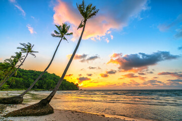 Dawn on a deserted beach with beautiful leaning coconut trees facing the sea and a beautiful dramatic sky emerald © huythoai