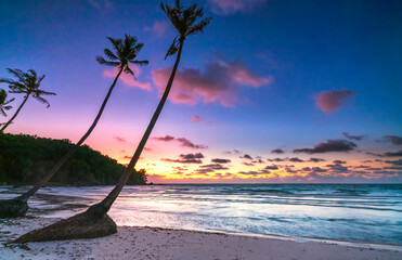 Dawn on a deserted beach with beautiful leaning coconut trees facing the sea and a beautiful...