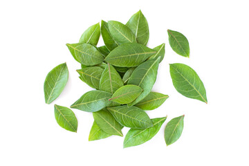 Henna leaves