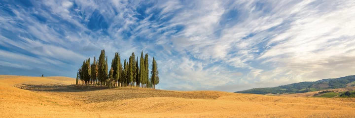 Schönes typisch toskanisches Panorama mit Zypressen auf einem Feld im Sommer, Toskana, Italien © Delphotostock