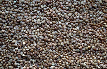 Buckwheat grains are neatly laid out on the table