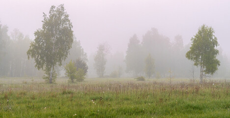 Cloudy morning in nature. Mist descended on the trees, meadow and hid the horizon.