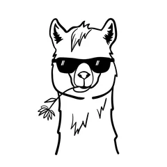 Foto auf Alu-Dibond Cute llama with sunglasses. Cool alpaca with flower in mouth. Vector illustration isolated on white background. Outline sketch © Elena