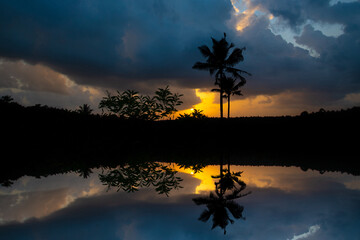 Fototapeta na wymiar landscape during sunset, Coconut Trees Reflection On Water Under blue and yellow Cloudy Sky, Sunset nature photography, Beautiful scenery of coconut trees