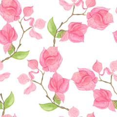Pink bougainvillea flowers on the branches.
