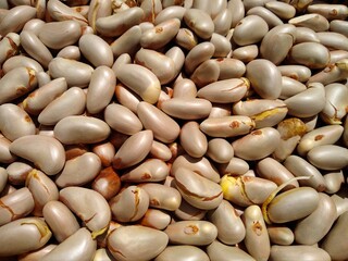 Jackfruit seeds, edible seed close-up view