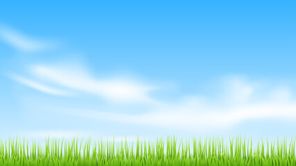 Plakat Vector green landscape. Sky, clouds and grass.