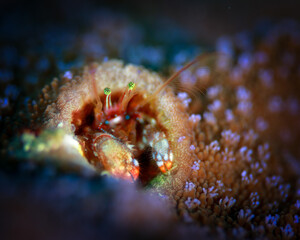 お気に入りの住処