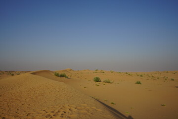 Fototapeta na wymiar Landscape in Sharjah desert