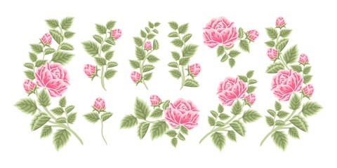 Hand drawn botanical rose flower arrangement, leaf branch vector illustrations and bouquet element collection