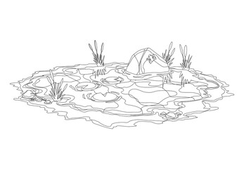 Coloring water pond with reeds and stones around. Concept of open small swamp lake in natural landscape style. Graphic design for spring season