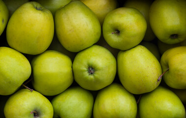 Ripe green apples on the counter in a grocery store. High quality photo