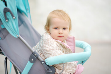 Adorable toddler girl is riding into baby stroller during stroll. Active leisure for family with...
