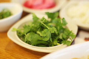 cilantro 고수