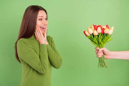 Photo Portrait Young Girl Amazed Receiving Flowers On Date Touching Cheeks Isolated Pastel Green Color Background