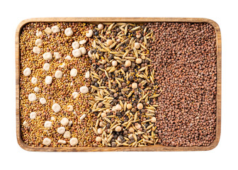 Green manure, siderates. Three types of seed mix fast growing green manure on wooden tray isolated...