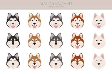 Obraz premium Alaskan malamute all colours clipart. Different coat colors and poses set