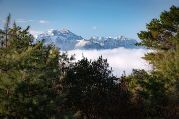 Fototapeta na wymiar Breathtaking picturesque landscape of snowy mountain peaks clear blue aqua sky and fluffy foggy misty clouds under. View through pine trees, pinecones. Bright sunny morning after sunrise, blue hour.