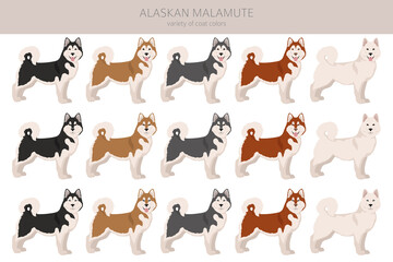 Alaskan malamute all colours clipart. Different coat colors and poses set