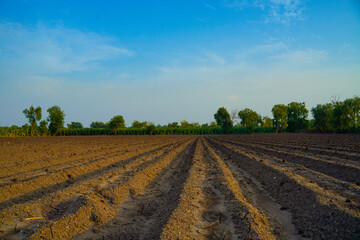 Fototapeta na wymiar Plowed field. Agriculture, soil before sowing. Fertile land texture, rural field landscape.