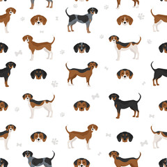 American foxhound all colours seamless pattern. Different coat colors set