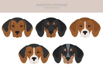 American foxhound all colours clipart. Different coat colors set.