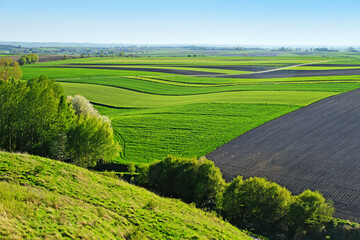 Rural landscape scenery natura fields and meadows Grodzisko Stradów