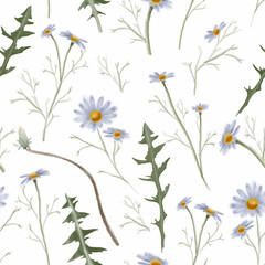 Watercolor dandelion, chamomile flower vintage seamless pattern.