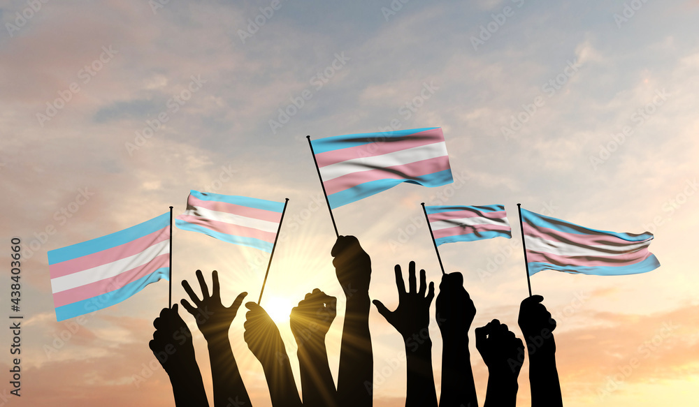 Wall mural Silhouette of arms raised waving a Transgender flag with pride. 3D Rendering