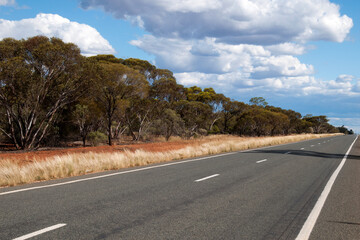 Cobar Australia, view with dry grass and trees along flat asphalt rural road with on a sunny day