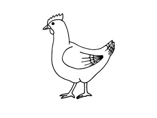 dove of peace