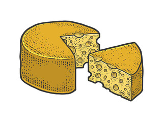 cheese head color line art sketch engraving vector illustration. T-shirt apparel print design. Scratch board imitation. Black and white hand drawn image.